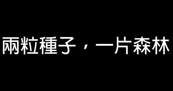 唯美哲理句子大全【薦讀】 1