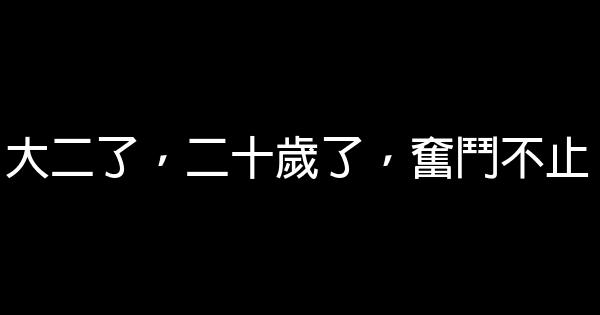 大二了，二十歲了，奮鬥不止 0 (0)