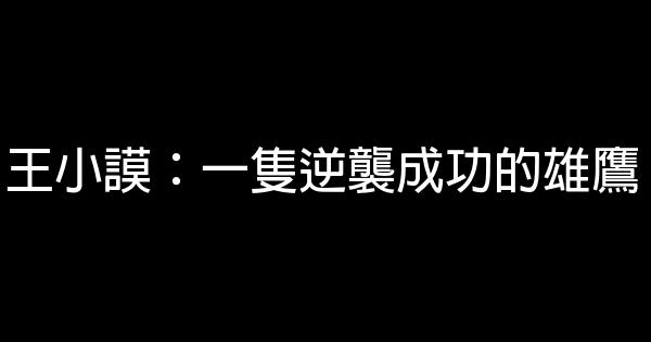 王小謨：一隻逆襲成功的雄鷹 0 (0)