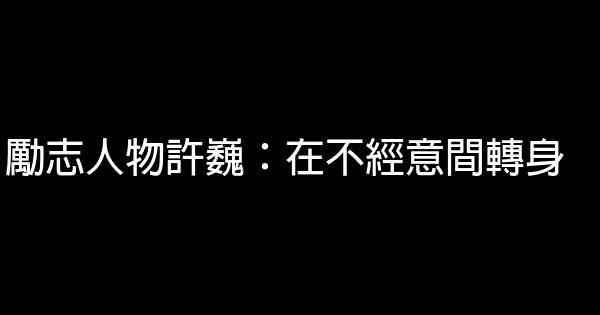 勵志人物許巍：在不經意間轉身 0 (0)