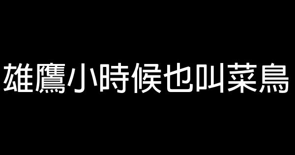 雄鷹小時候也叫菜鳥 0 (0)