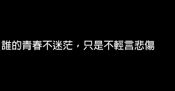 誰的青春不迷茫，只是不輕言悲傷 0 (0)