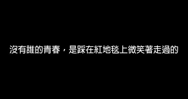 沒有誰的青春，是踩在紅地毯上微笑著走過的 0 (0)