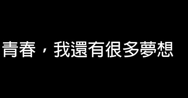 青春，我還有很多夢想 0 (0)