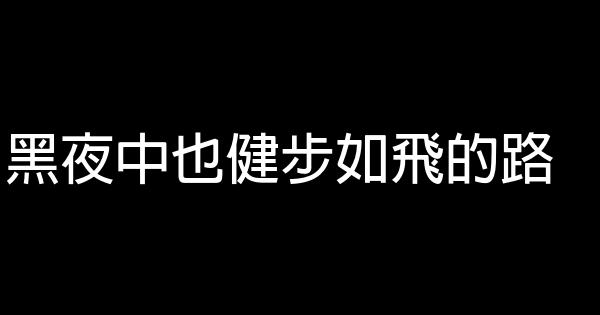 黑夜中也健步如飛的路 0 (0)