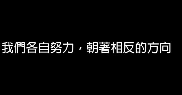 我們各自努力，朝著相反的方向 0 (0)