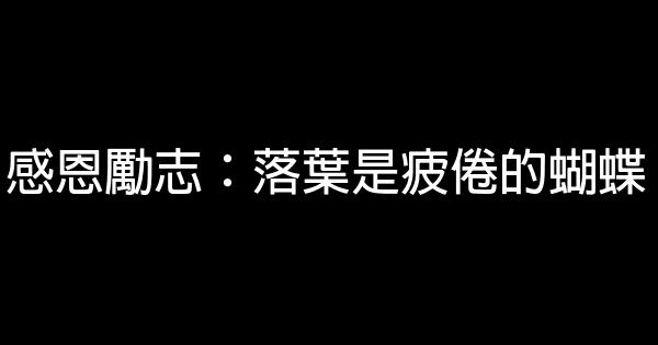 感恩勵志：落葉是疲倦的蝴蝶 1