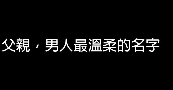 父親，男人最溫柔的名字 0 (0)