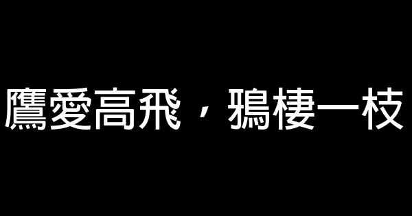 2016最新励志句子 0 (0)