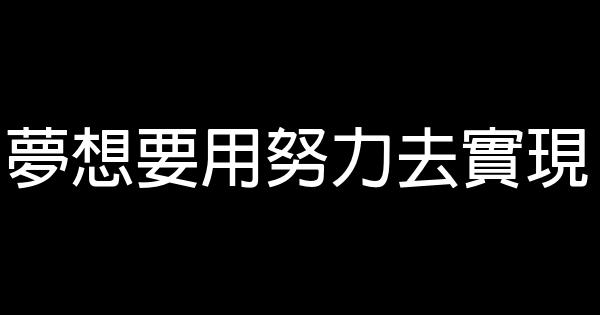 夢想要用努力去實現 0 (0)