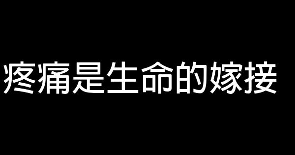 疼痛是生命的嫁接 0 (0)