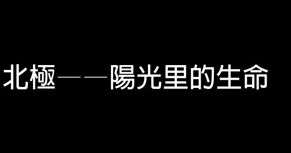 北極——陽光里的生命 1