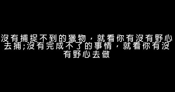 狼性励志短语 0 (0)