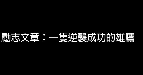 勵志文章：一隻逆襲成功的雄鷹 0 (0)