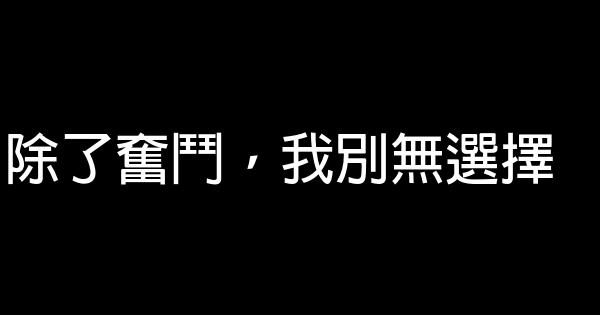 除了奮鬥，我別無選擇 0 (0)