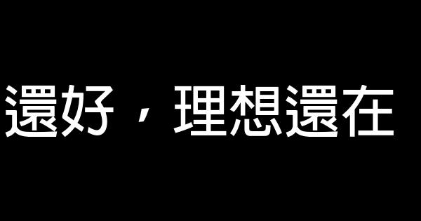 還好，理想還在 0 (0)