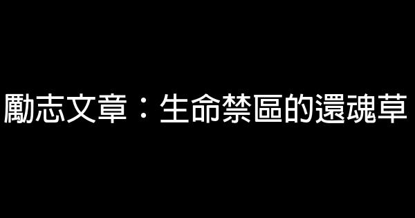 勵志文章：生命禁區的還魂草 0 (0)