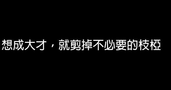 想成大才，就剪掉不必要的枝椏 0 (0)