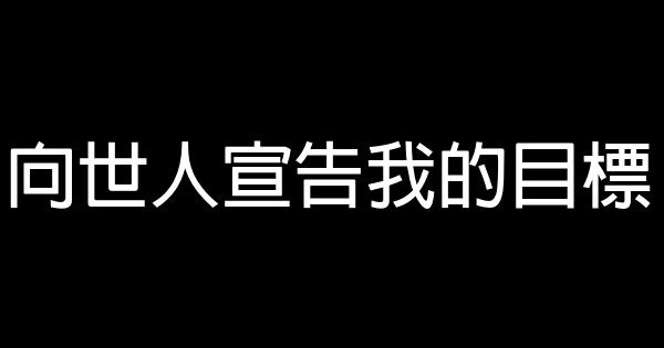 向世人宣告我的目標 0 (0)