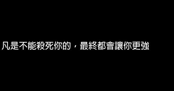 凡是不能殺死你的，最終都會讓你更強 0 (0)