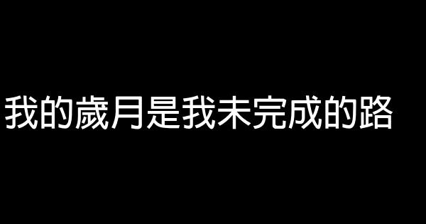 我的歲月是我未完成的路 0 (0)