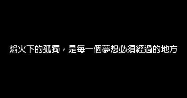 焰火下的孤獨，是每一個夢想必須經過的地方 0 (0)