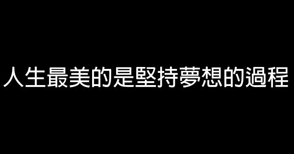 人生最美的是堅持夢想的過程 0 (0)