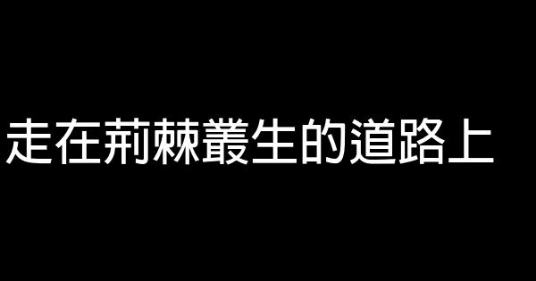 走在荊棘叢生的道路上 0 (0)