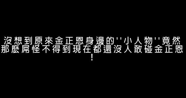 沒想到原來金正恩身邊的”小人物”竟然那麽屌怪不得到現在都還沒人敢碰金正恩！ 0 (0)