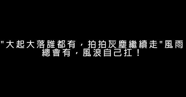 “大起大落誰都有，拍拍灰塵繼續走”風雨總會有，風浪自己扛！ 0 (0)