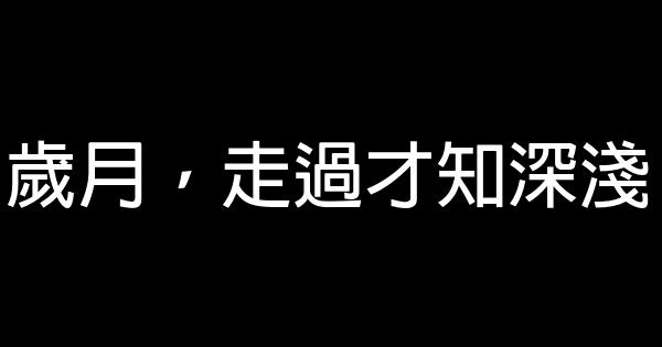 歲月，走過才知深淺 0 (0)