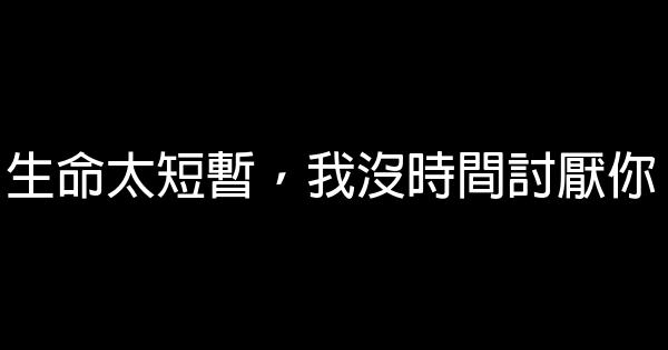 生命太短暫，我沒時間討厭你 0 (0)